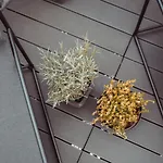 Exklusive An Der Mosel - Ausstattung - Dachterrasse - E-ladestation - Netflix * زينهايم