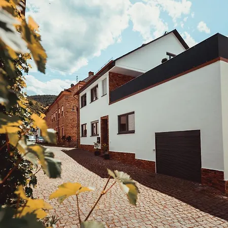 Exklusive An Der Mosel - Ausstattung - Dachterrasse - E-ladestation - Netflix