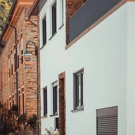 Exklusive An Der Mosel - Ausstattung - Dachterrasse - E-ladestation - Netflix סנהיים