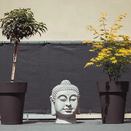 Exklusive An Der Mosel - Ausstattung - Dachterrasse - E-ladestation - Netflix Διαμέρισμα Senheim