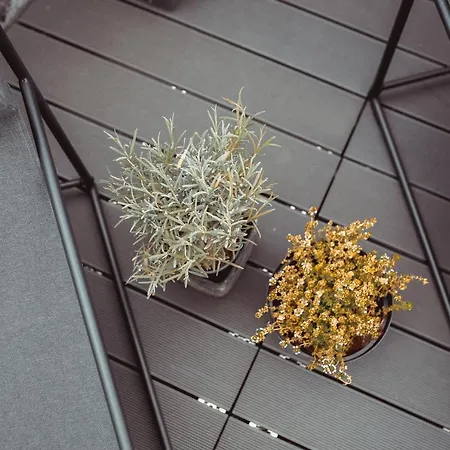 Exklusive An Der Mosel - Ausstattung - Dachterrasse - E-ladestation - Netflix * Senheim