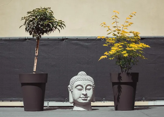 Exklusive An Der Mosel - Ausstattung - Dachterrasse - E-ladestation - Netflix Apartment Senheim