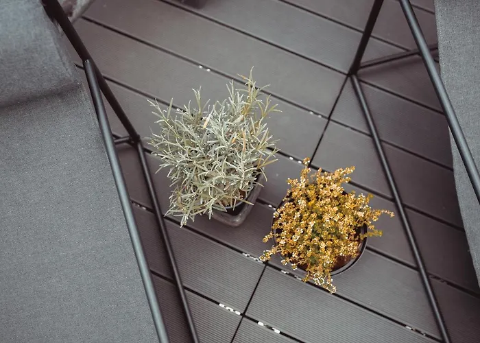 Exklusive An Der Mosel - Ausstattung - Dachterrasse - E-ladestation - Netflix * Senheim